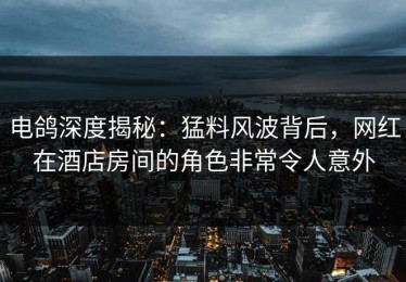 电鸽深度揭秘：猛料风波背后，网红在酒店房间的角色非常令人意外