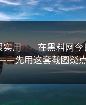 冷门但很实用——在黑料网今日看吃瓜爆料前——先用这套截图疑点检查法
