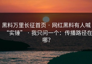 黑料万里长征首页 · 网红黑料有人喊“实锤” · 我只问一个：传播路径在哪？
