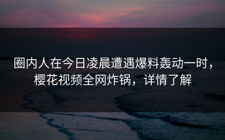 圈内人在今日凌晨遭遇爆料轰动一时，樱花视频全网炸锅，详情了解