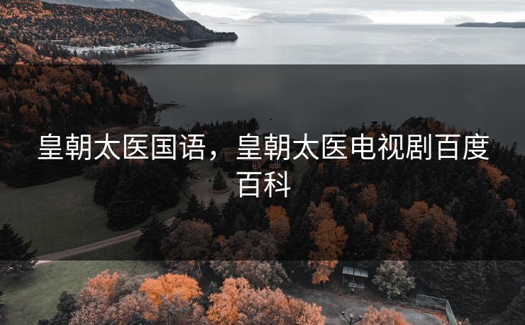 皇朝太医国语，皇朝太医电视剧百度百科