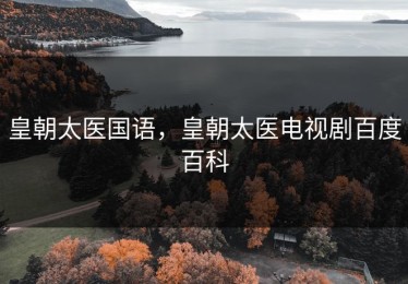 皇朝太医国语，皇朝太医电视剧百度百科